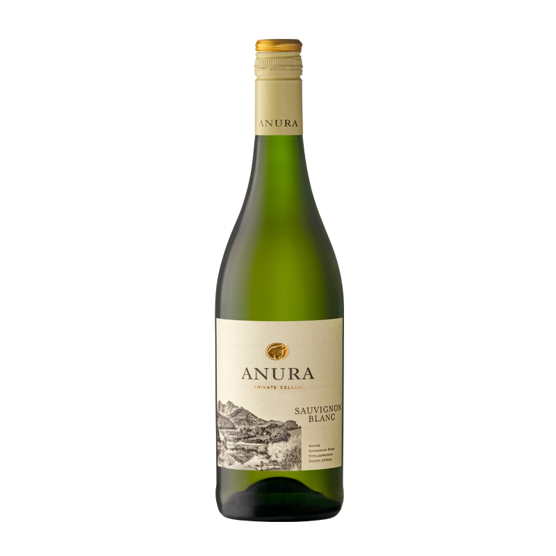 Buy Anura Sauvignon Blanc 2019 • Order Wine